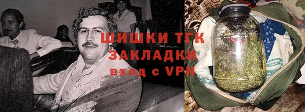 индика Лиски
