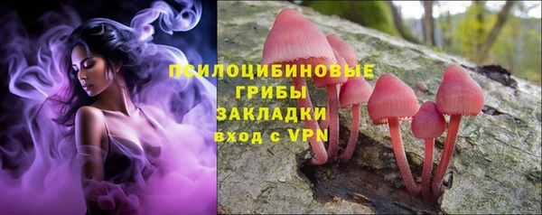 индика Лиски