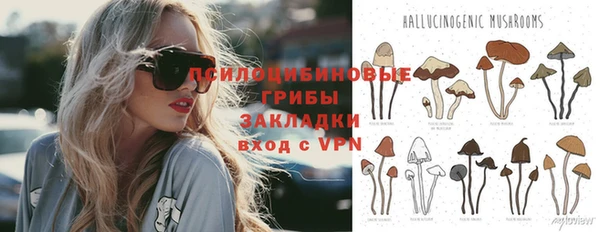 индика Лиски